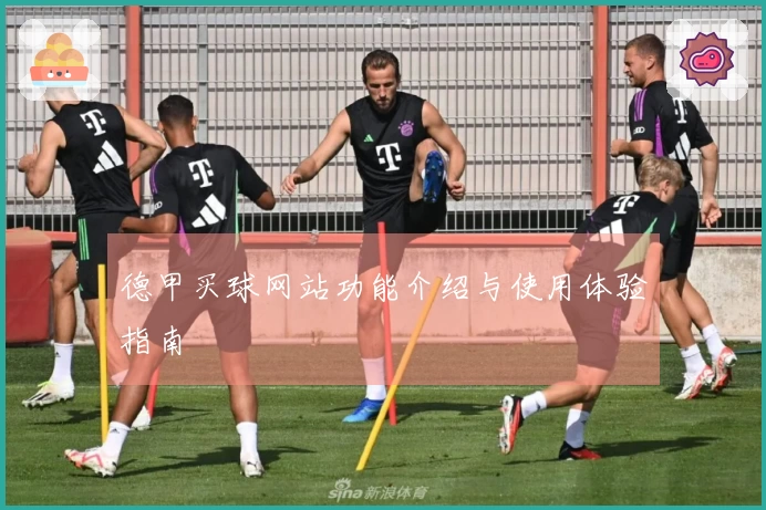 德甲买球网站功能介绍与使用体验指南