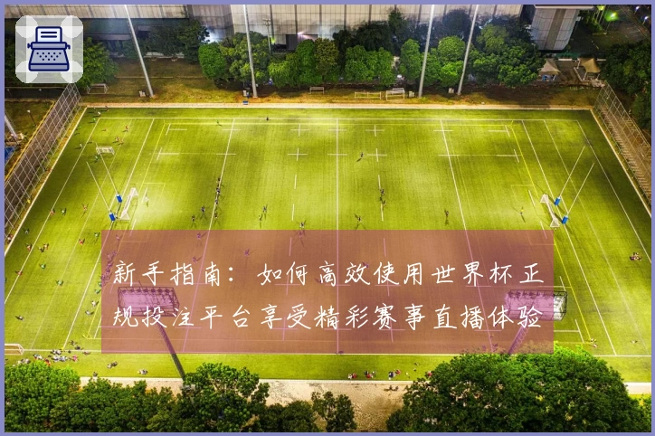 新手指南：如何高效使用世界杯正规投注平台享受精彩赛事直播体验