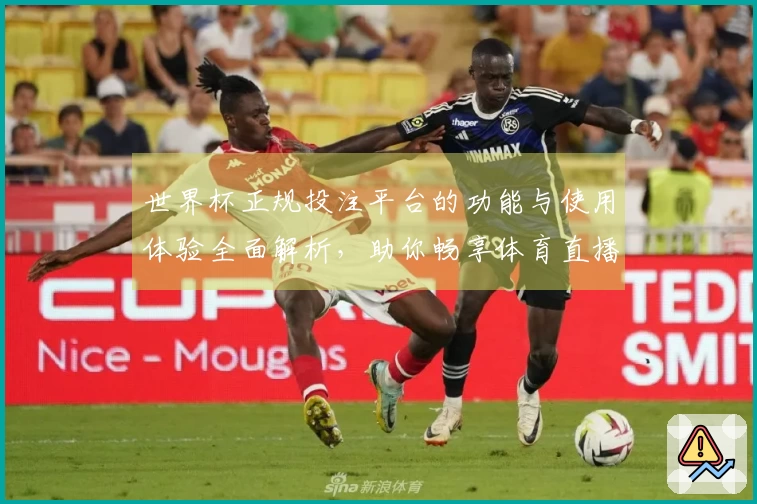 世界杯正规投注平台的功能与使用体验全面解析，助你畅享体育直播新选择
