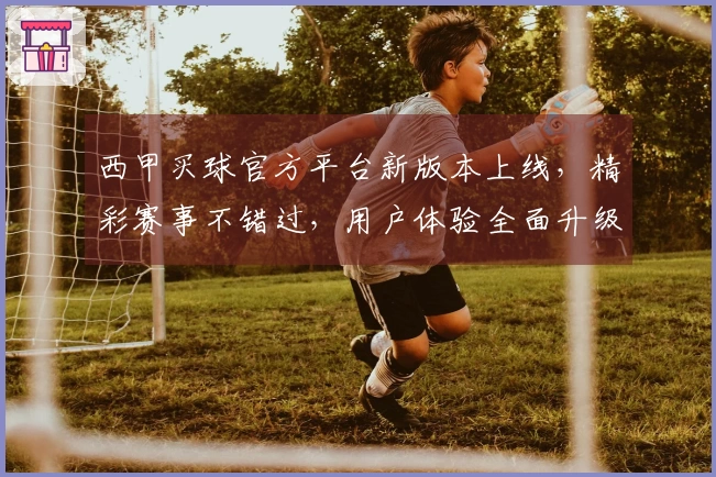 西甲买球官方平台新版本上线，精彩赛事不错过，用户体验全面升级指导